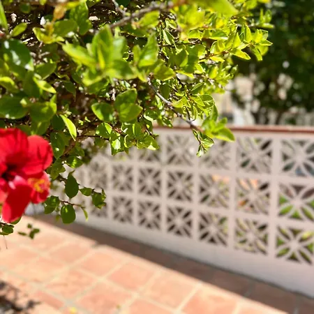 House Sinikka In Pacos - Nature And Peace * Fuengirola